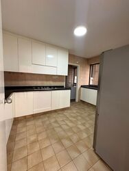 The Cairnhill (D9), Condominium #623652591